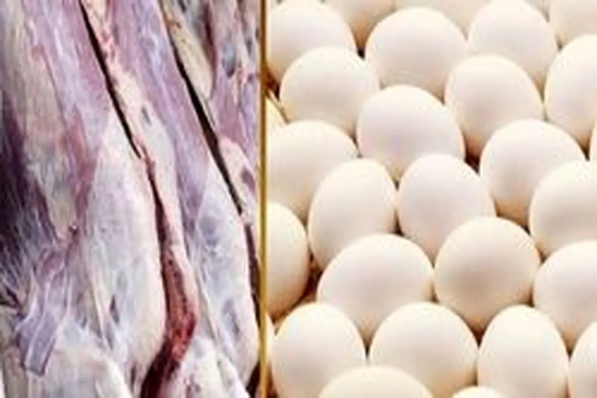 گوشت ارزان شد/ تخم‌مرغ به شانه ای ۵۰ هزار تومان می‌رسد؟