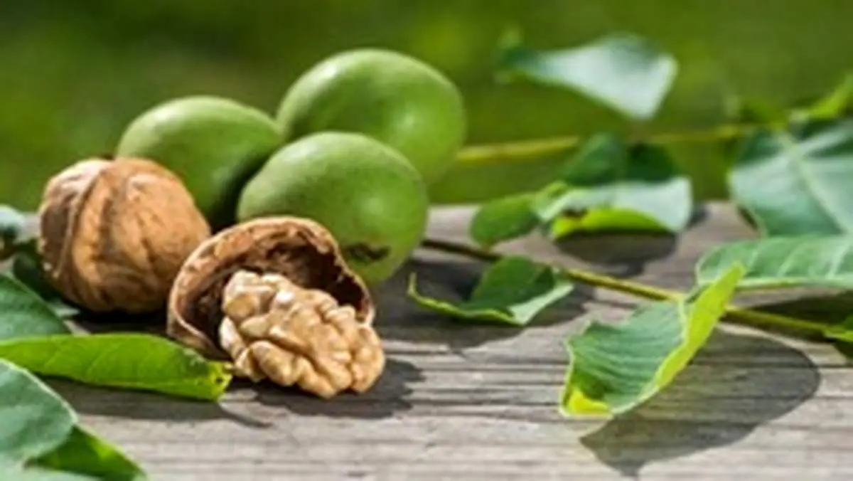 خواص شگفت انگیز گردو برای سلامتی
