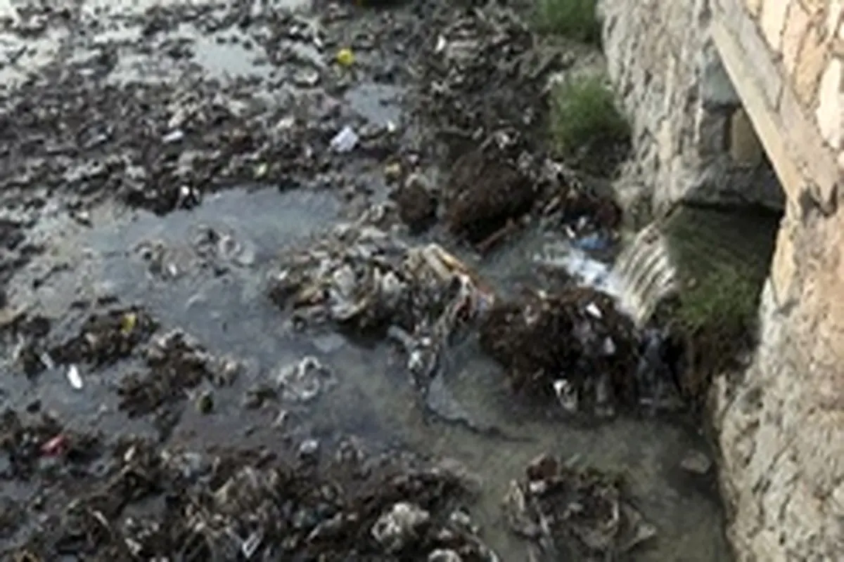 آلودگی‌ زیست محیطی خلیج فارس