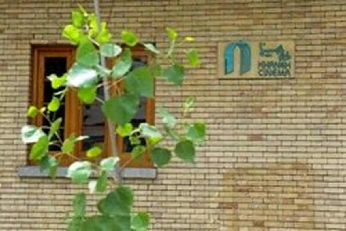 ابراز نگرانی خانه سینما از رفتار فراقانونی در شبکه نمایش خانگی