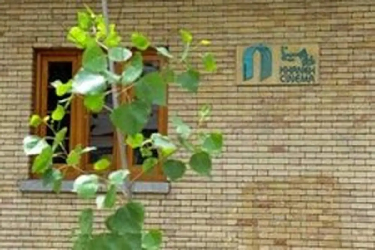 ابراز نگرانی خانه سینما از رفتار فراقانونی در شبکه نمایش خانگی