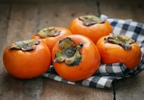 شیره خرمالو: گنجینه کهربایی پاییز؛ طرز تهیه، خواص و نکات نگهداری!