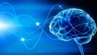 ترمیم مغز بیماران مبتلا به پارکینسون با کمک سلول‌های بنیادی
