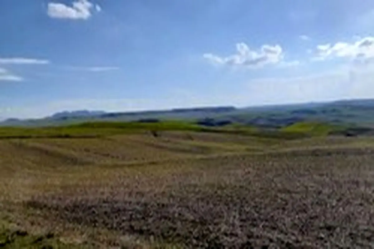 آسمانی صاف و آفتابی در اغلب شهرها/بارش در نوار شمالی کشور از ۲۹ شهریور