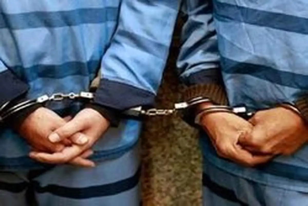 کارآگاه برجی خبر داد؛ دستگیری زورگیر حرفهای تهرانپارس