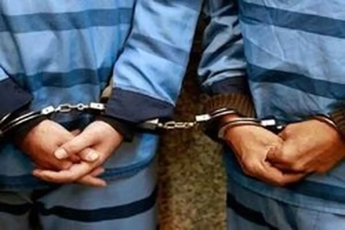 کارآگاه برجی خبر داد؛ دستگیری زورگیر حرفهای تهرانپارس