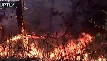 دو آتش سوزی مهیب در منطقه Voronezh روسیه + فیلم