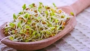 خواص جوانه گندم برای سلامتی و زیبایی