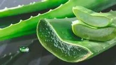 فواید فوق العاده ژل آلوئه ورا برای زیبایی پوست
