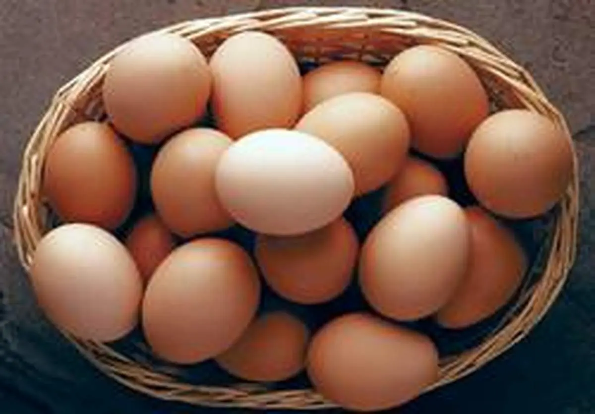 قیمت تخم مرغ در مغازه ها دو برابر نرخ مصوب!