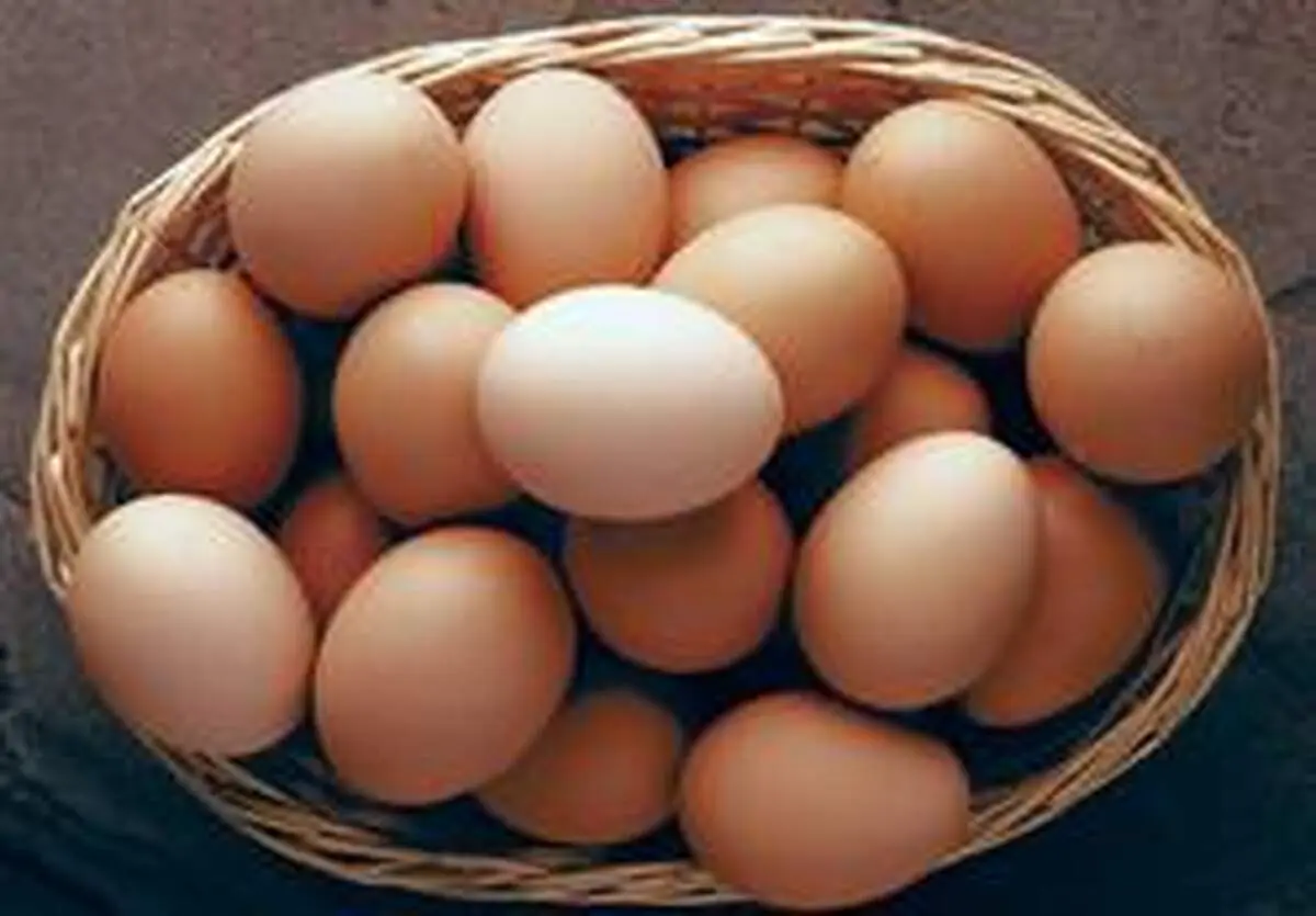 قیمت تخم مرغ در مغازه ها دو برابر نرخ مصوب!
