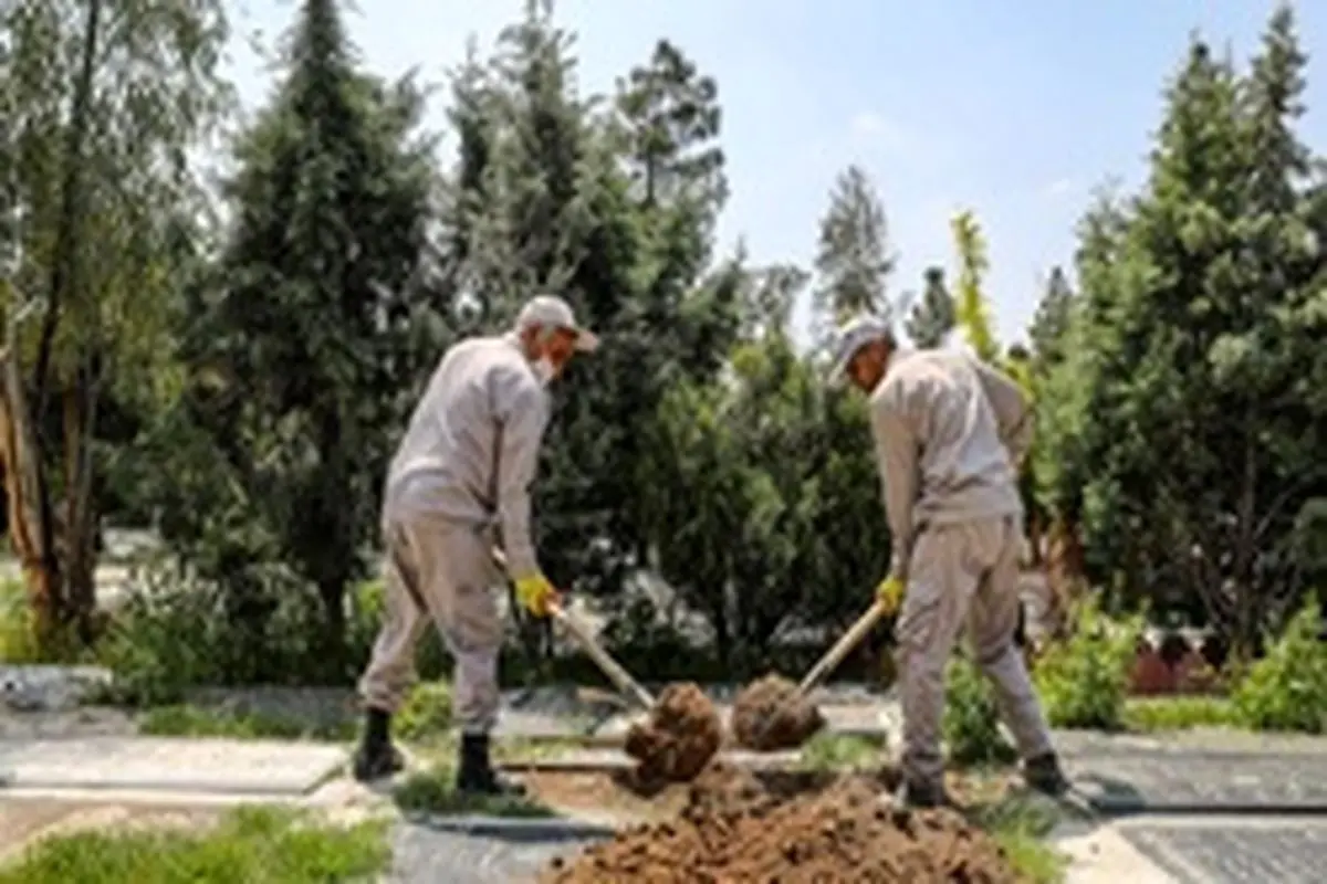 ماجرای فروش نجومی قبری که تکذیب شد