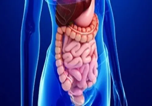 مهمترین نکات برای حفظ سلامت روده