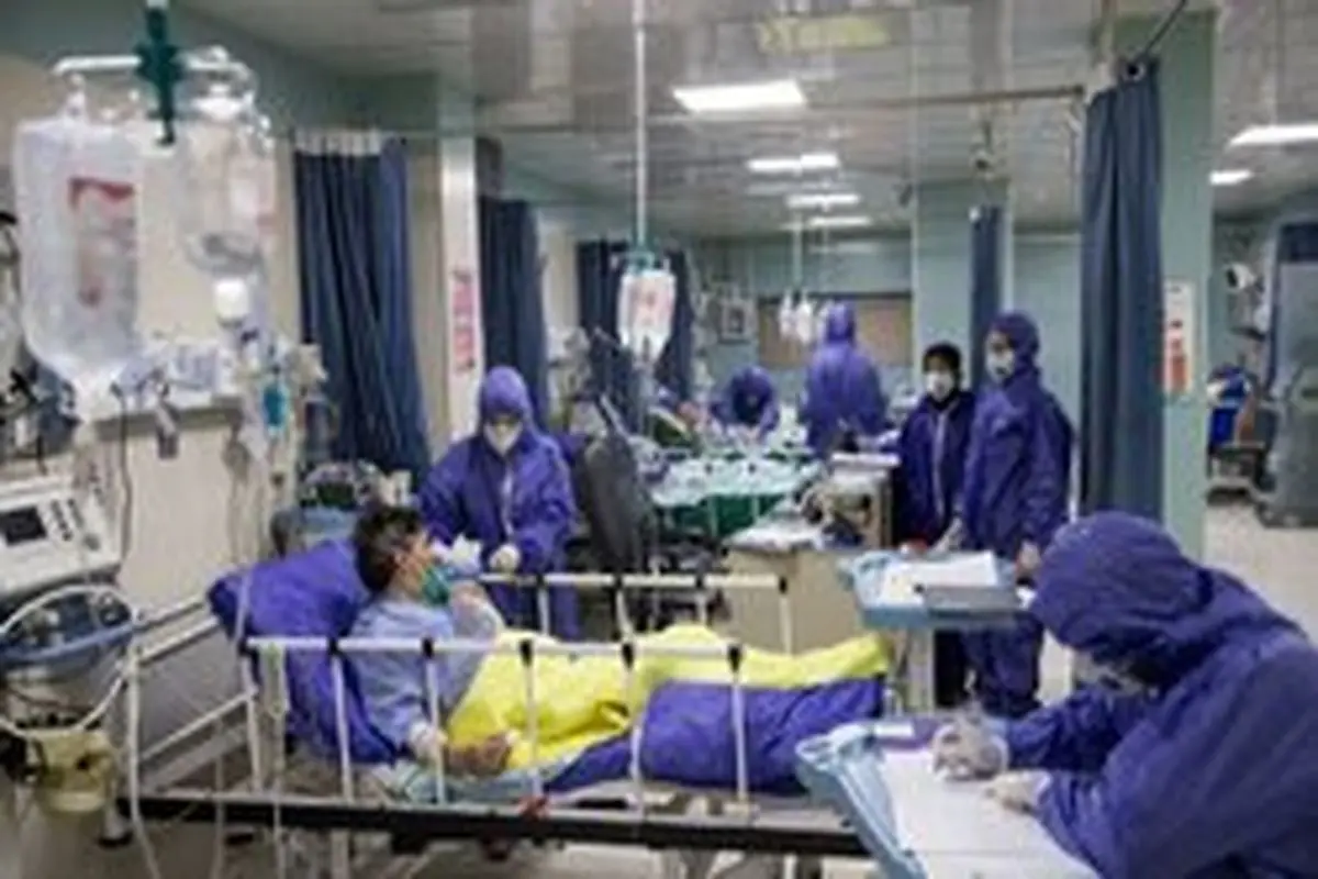 رئیس بیمارستان سینا: با ادامه این وضع به اندازه جنگ ایران و عراق کشته می‌دهیم