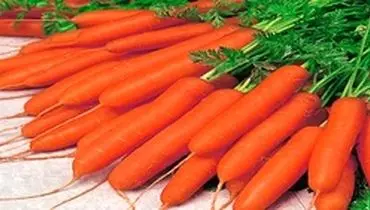 جلوگیری از ۲ نوع سرطان بدخیم با مصرف هویج