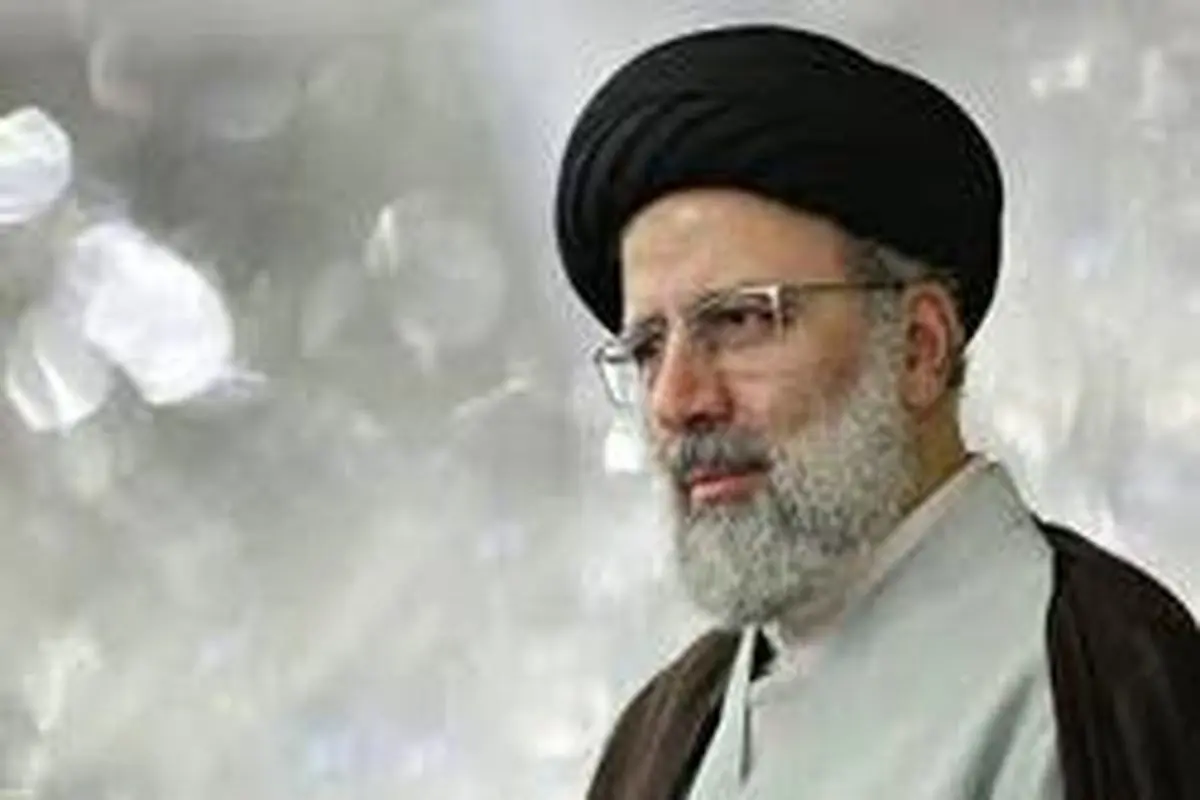 مدیر گروه حقوق جزای دانشگاه تهران: موضع آیت‌الله رییسی در قبال اوباش‌گردانی، ستودنی بود