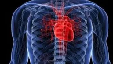 غذا‌های مفید و مضر برای سلامت قلب