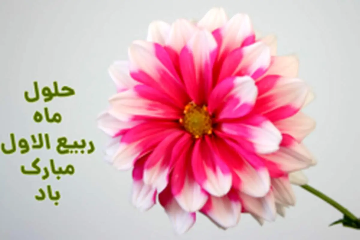 مهمترین اعمال شب و روز اول ربیع الاول