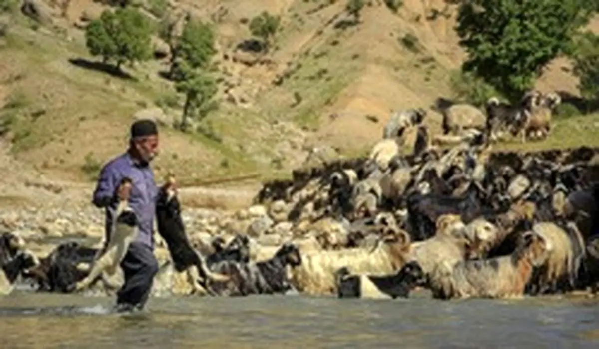 سختی ها و زیبایی ها کوچ عشایر