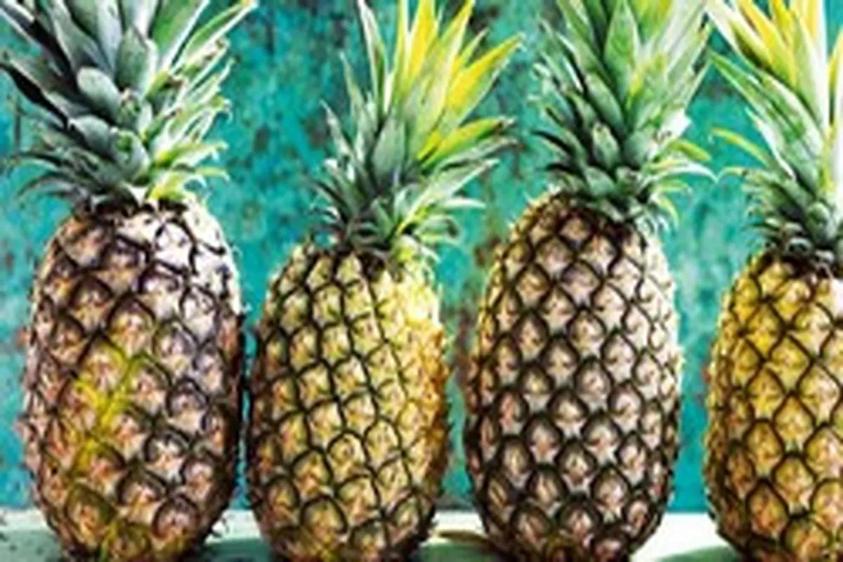 خواص و مضرات آناناس برای دیابتی‌ها