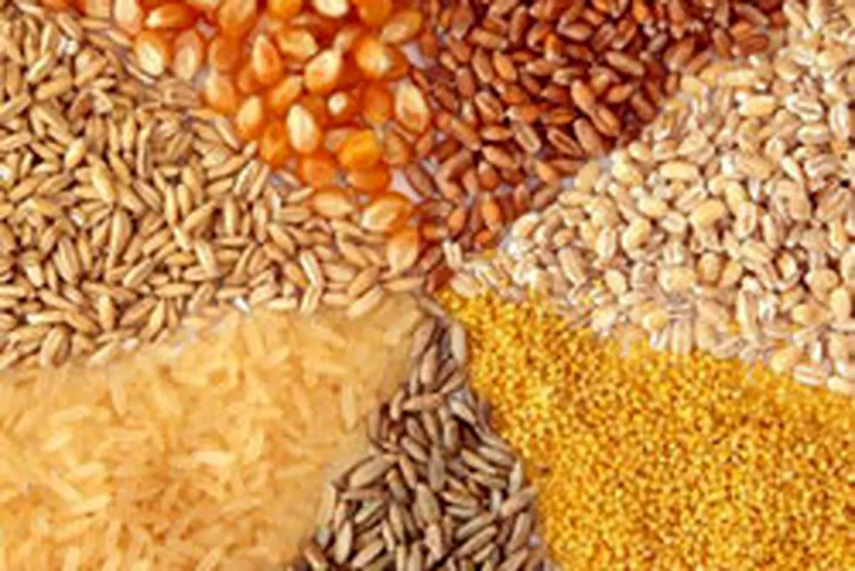 نگاهی به آمار انباشت نهادههای دامی در بنادر