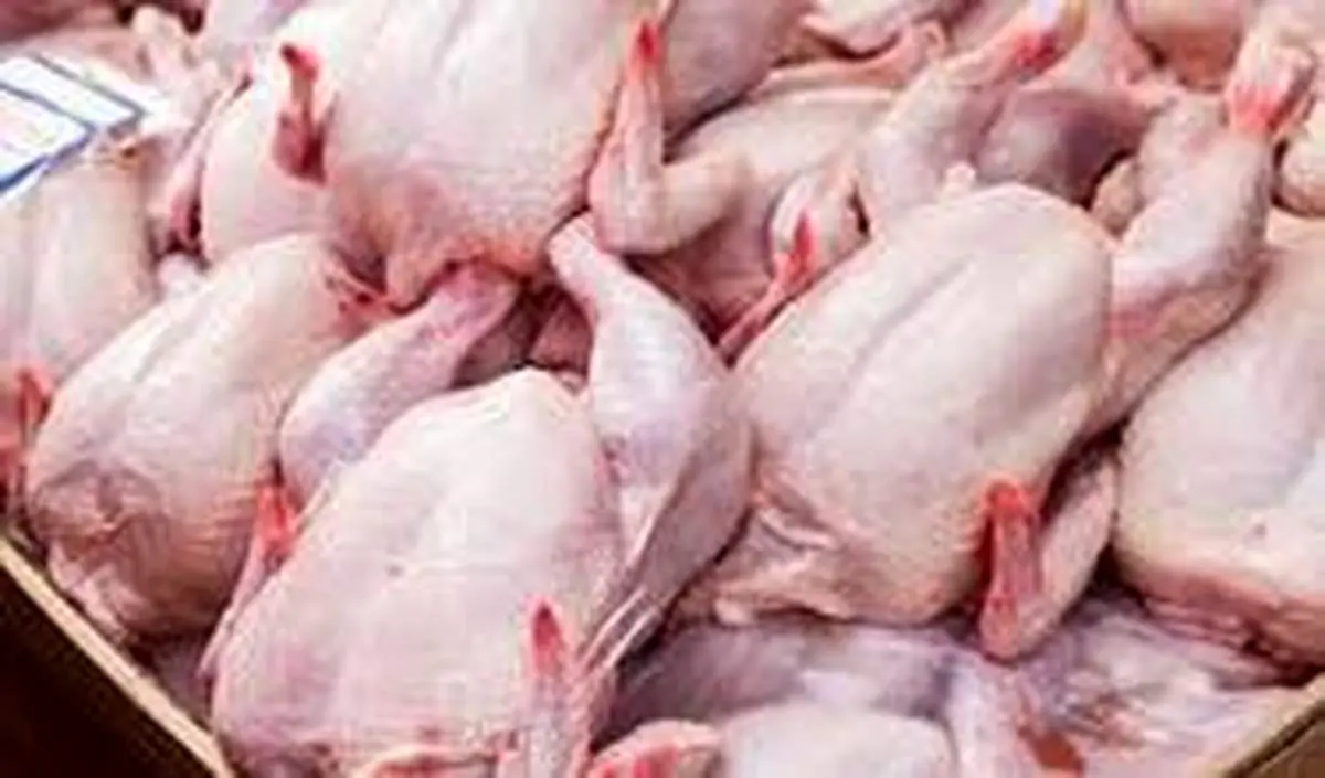 میانگین قیمت هرکیلو گرم مرغ آماده طبخ ۱۹.۱ هزار تومان