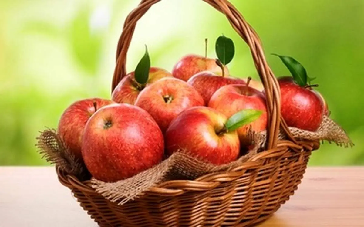 نظر قرآن کریم درباره انواع غذا‌ها