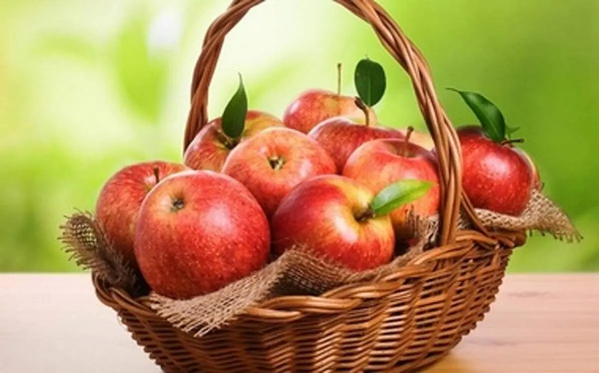 نظر قرآن کریم درباره انواع غذا‌ها