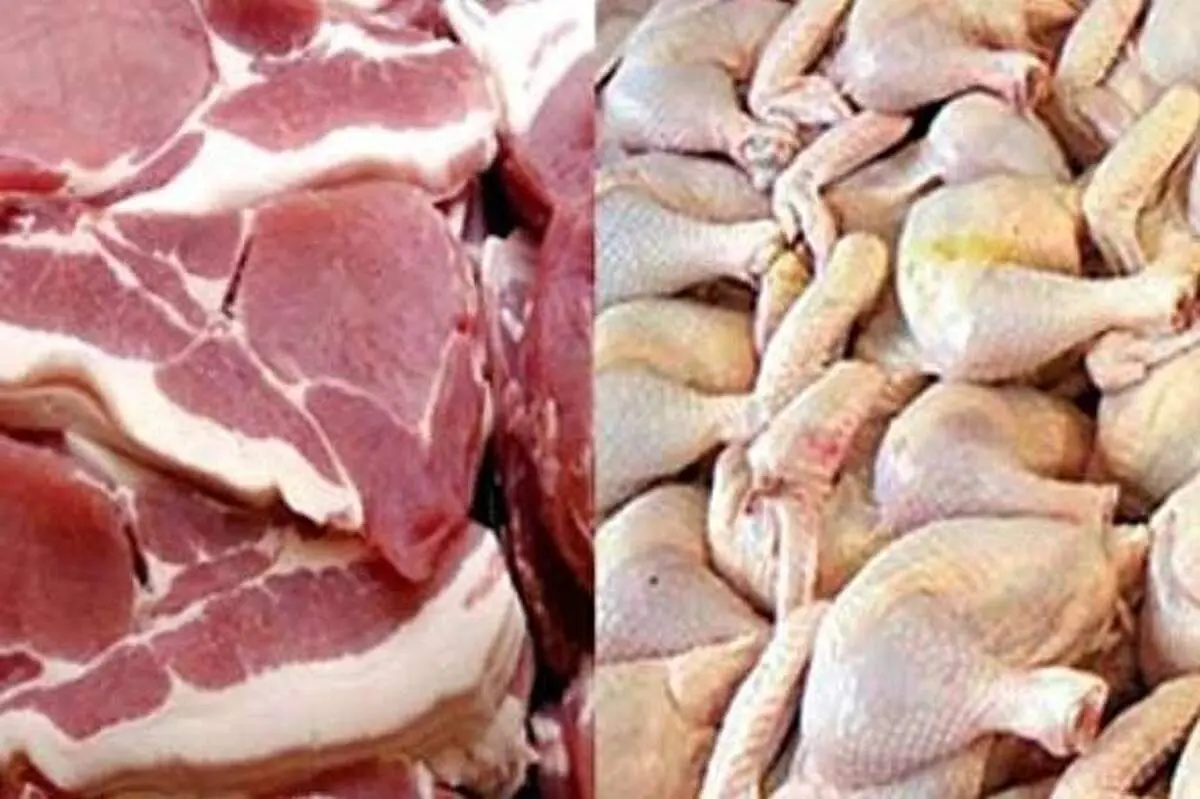چرا مرغ، گوشت، تخم مرغ و قارچ زنجیره‌وار گران شدند؟