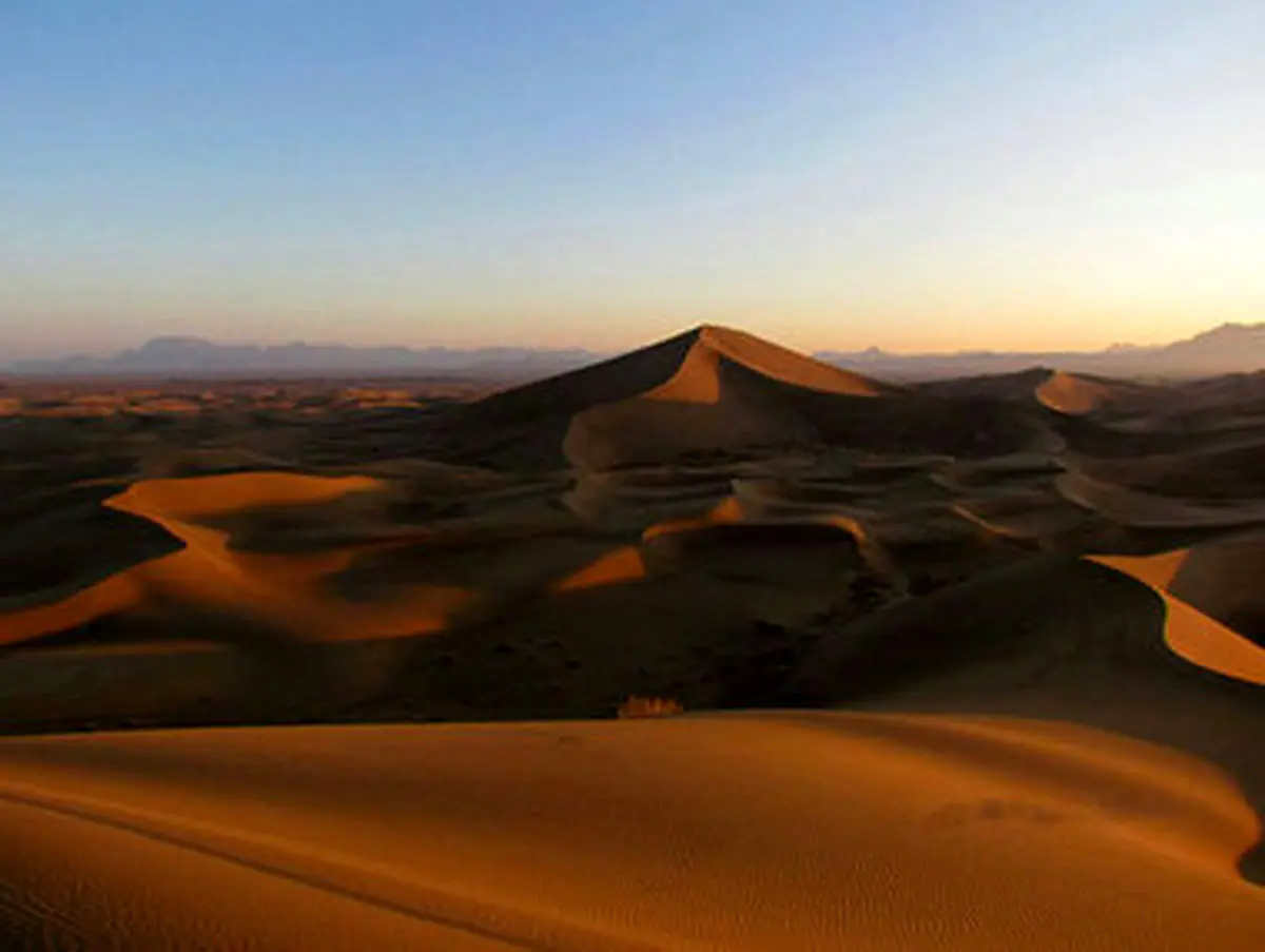 کویر زیبای کاراکال، زیستگاه سریع‌ترین گربه سان جهان + عکس