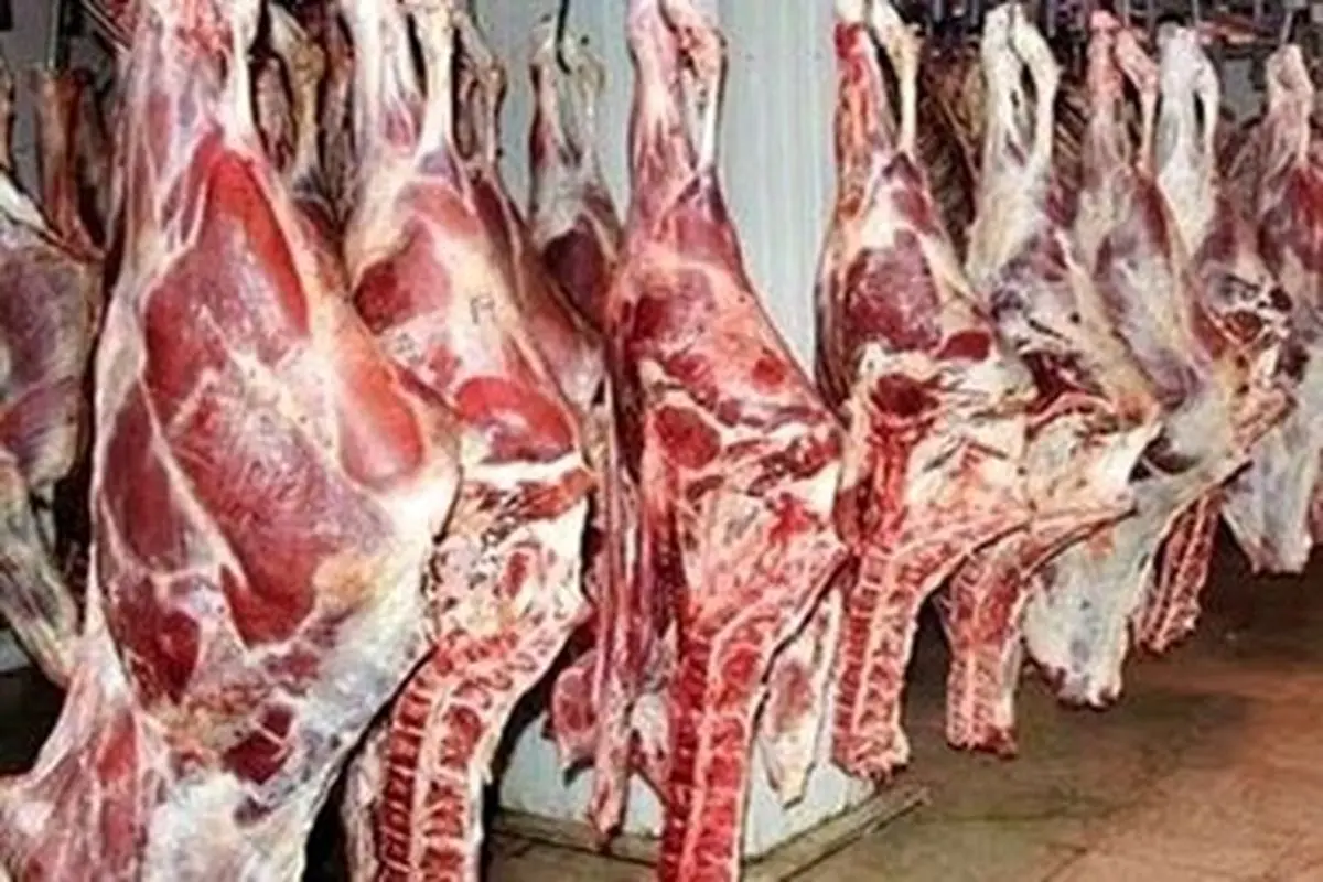اعلام متوسط قیمت دام زنده/ قیمت‌های جدید گوشت در بازار
