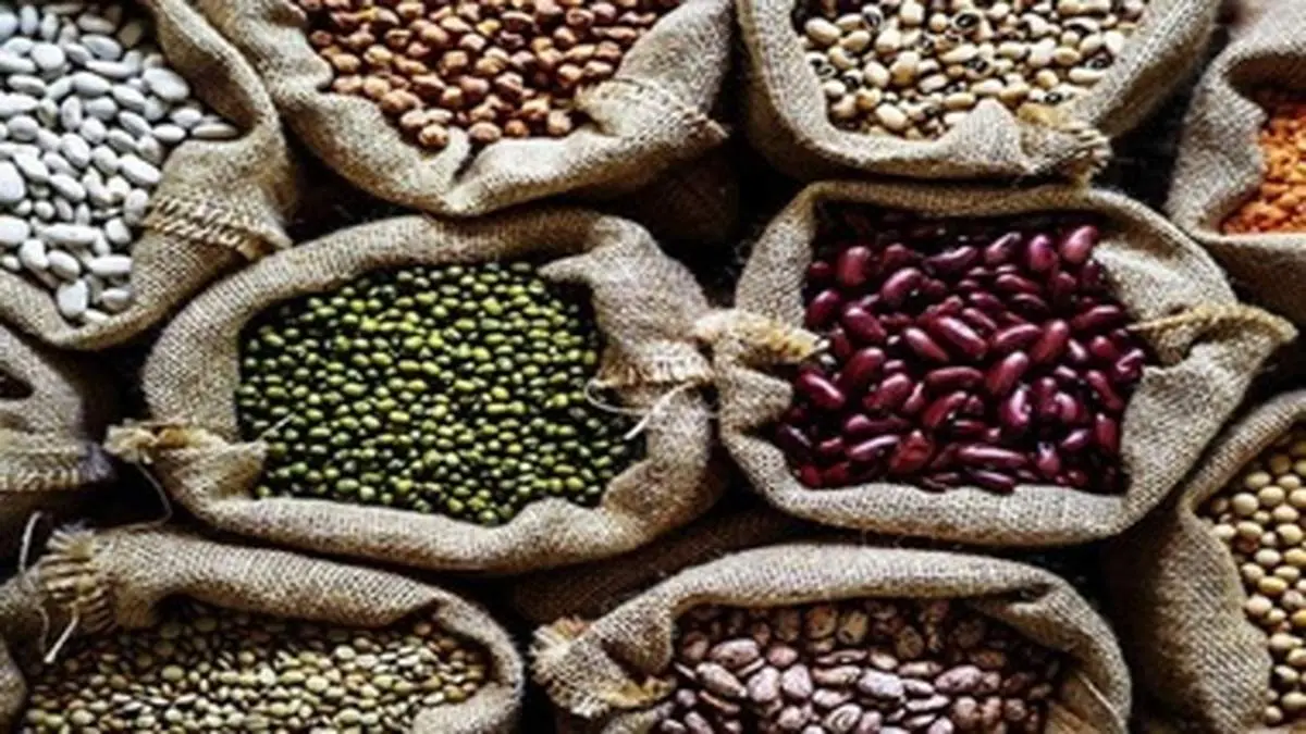 ۳ غذای گیاهی جایگزین گوشت