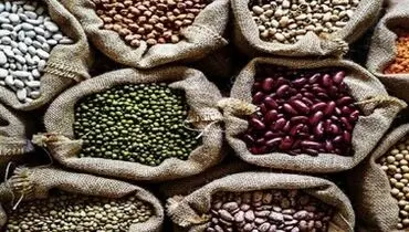 ۳ غذای گیاهی جایگزین گوشت
