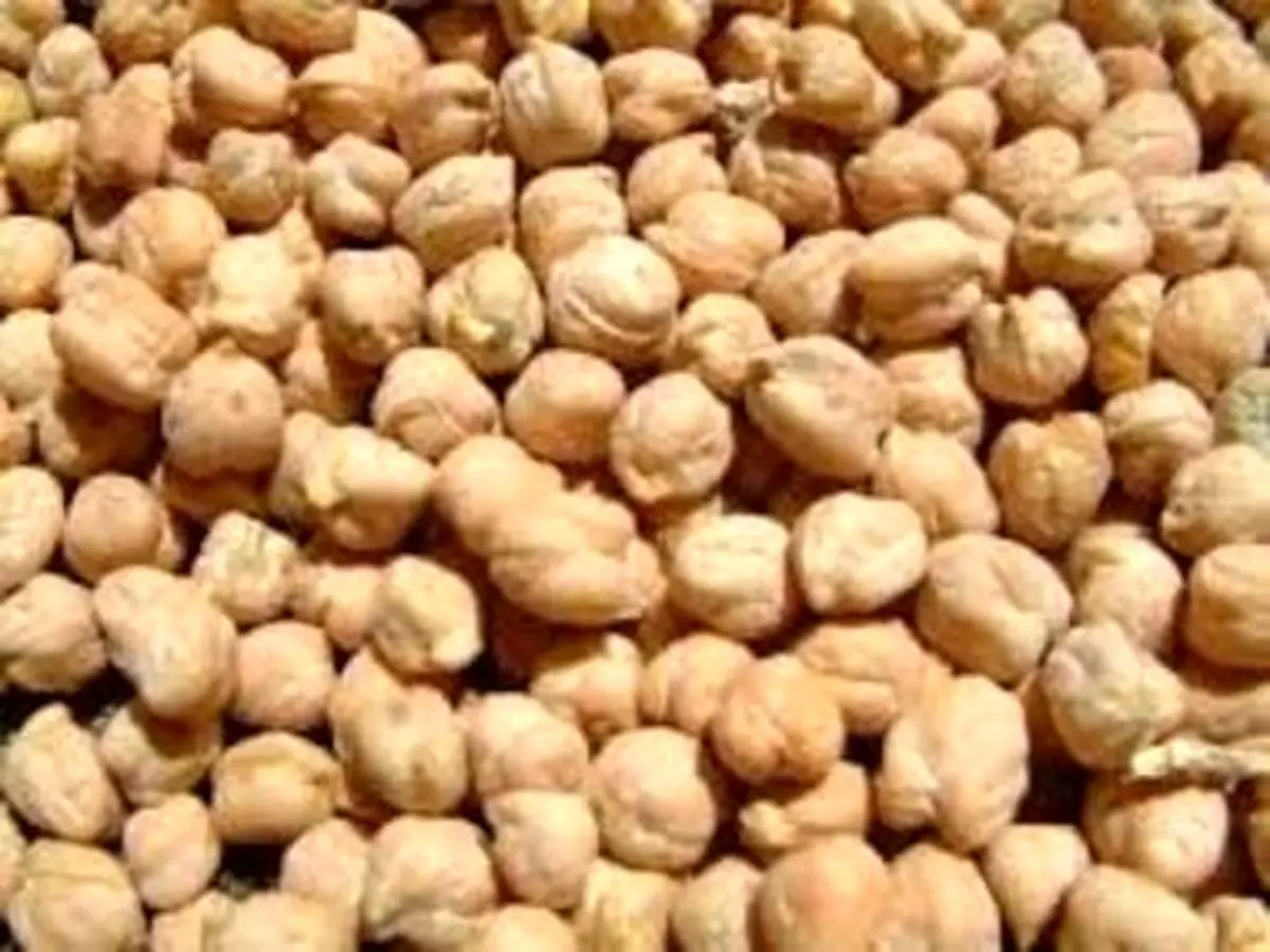 معجزه نخود برای بیماران کرونایی