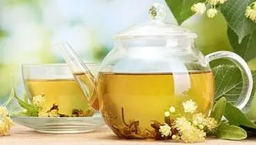 بهترین و مفیدترین چای ‌ها برای لاغری و چربی سوز