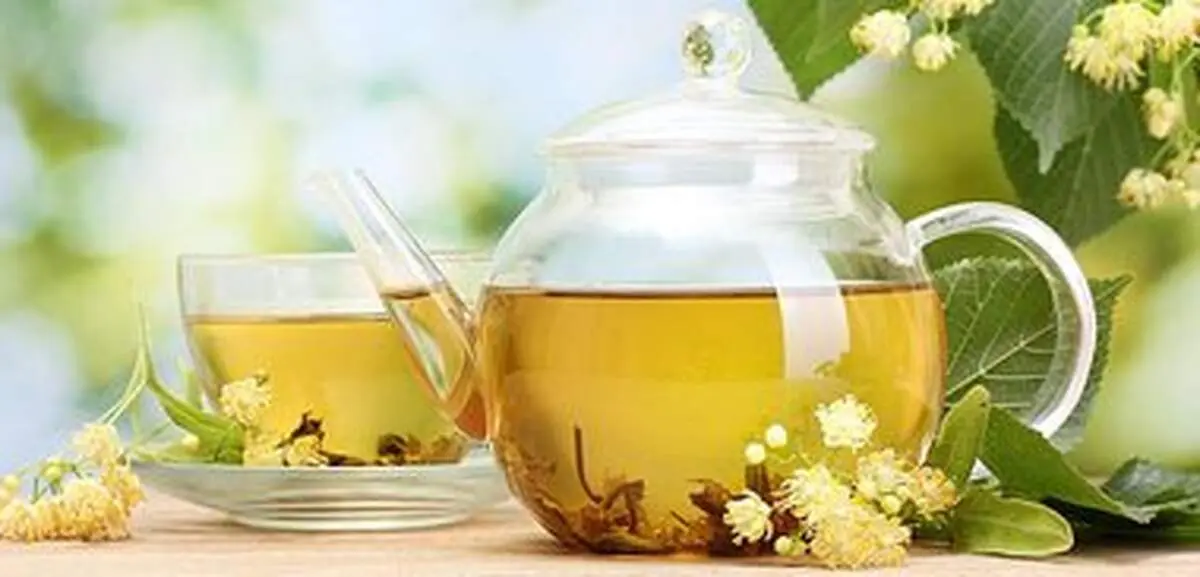 بهترین و مفیدترین چای ‌ها برای لاغری و چربی سوز