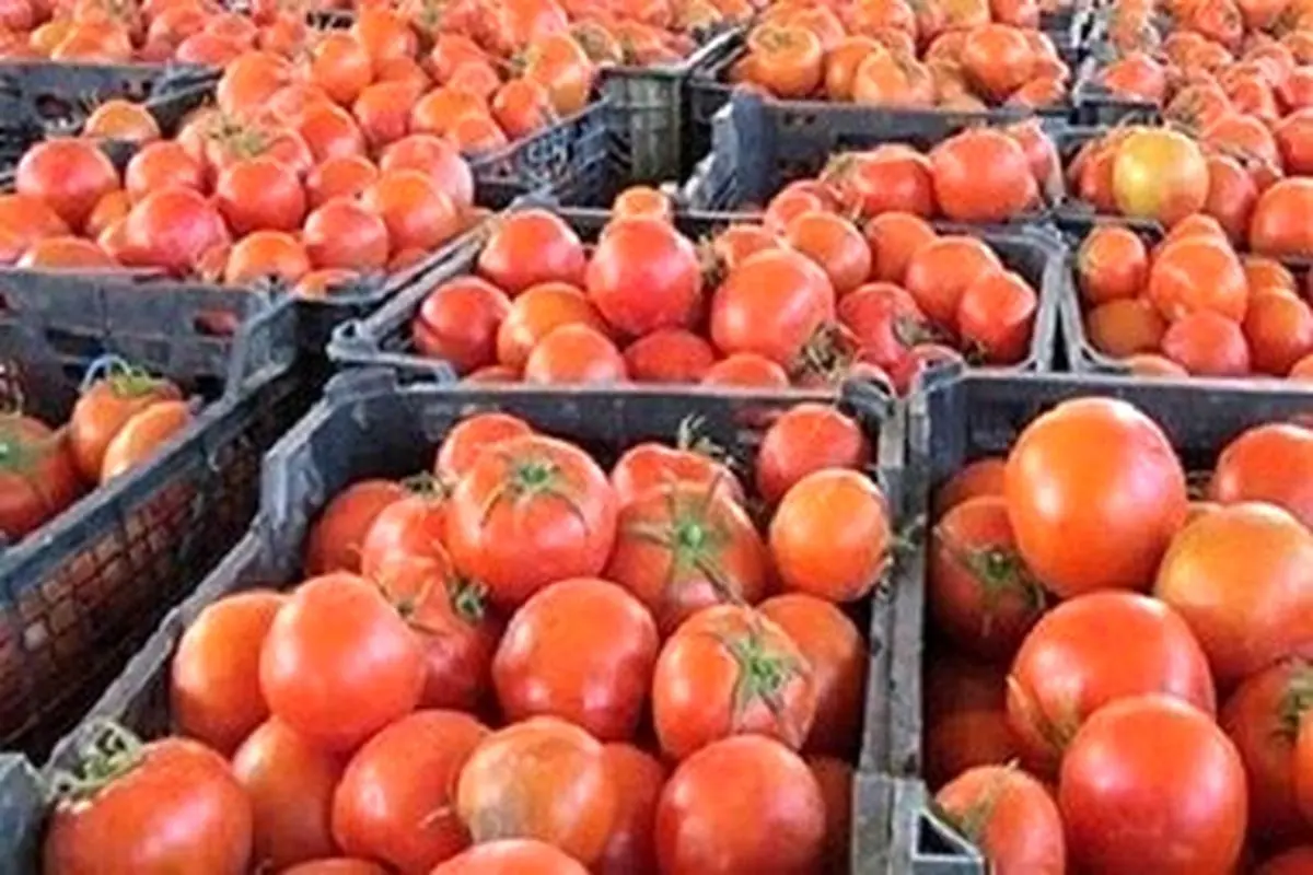 قیمت جدید رب گوجه فرنگی در بازارامروز ۱۵ آبان