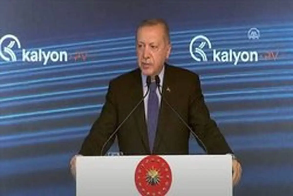 اردوغان خواستار تحریم کالا‌های فرانسوی در ترکیه شد