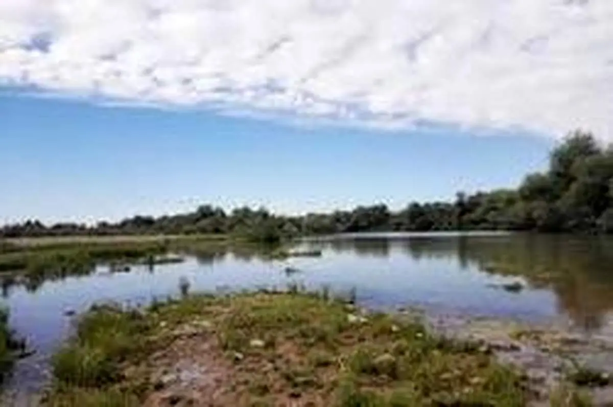 دستگیری عامل کشتار گسترده ماهیان پارک ملی دز خوزستان