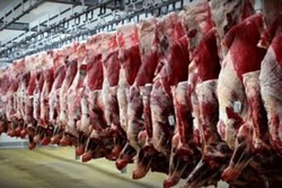 بازار گوشت زیر ساطور گرانی/ افزایش پنجاه هزارتومانی گوشت قرمز