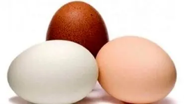 تفاوت تخم مرغ‌های قهوه‌ای با سفید