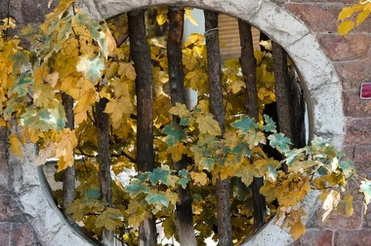 یکی از زیباترین هنرنماییهای طبیعت
