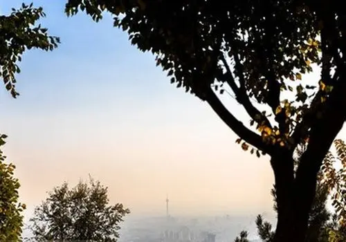 شناسایی عامل اصلی آلودگی هوای تهران