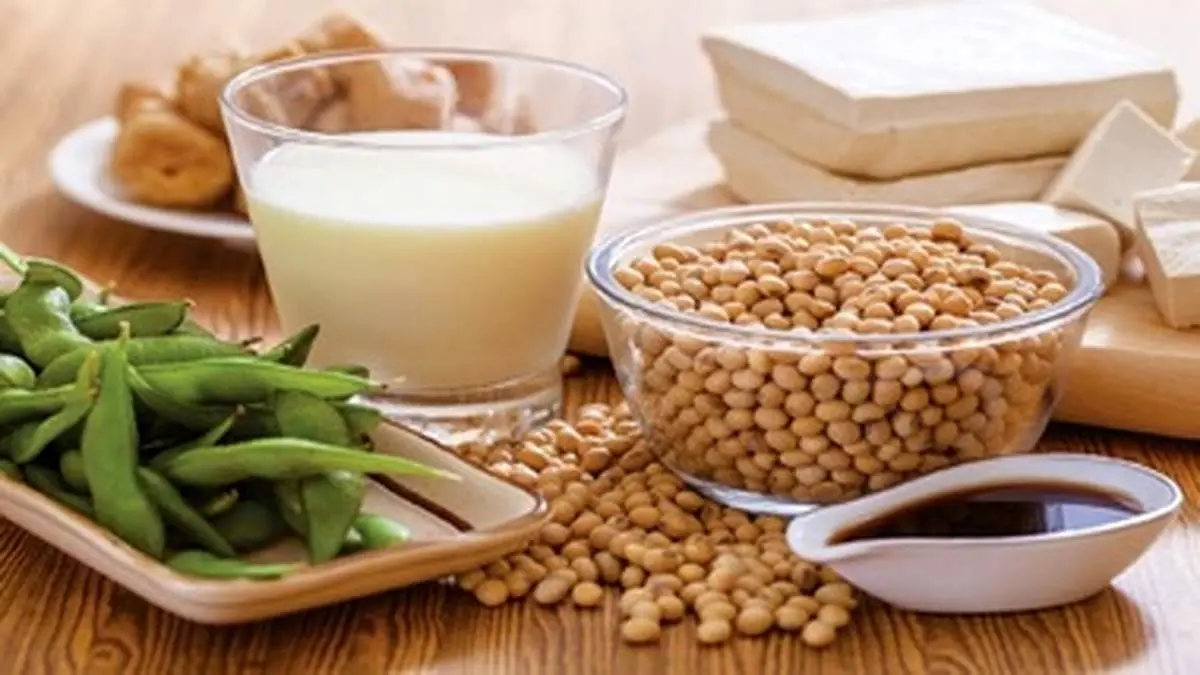 ۱۰ غذای مفید برای بهبود درد مفاصل