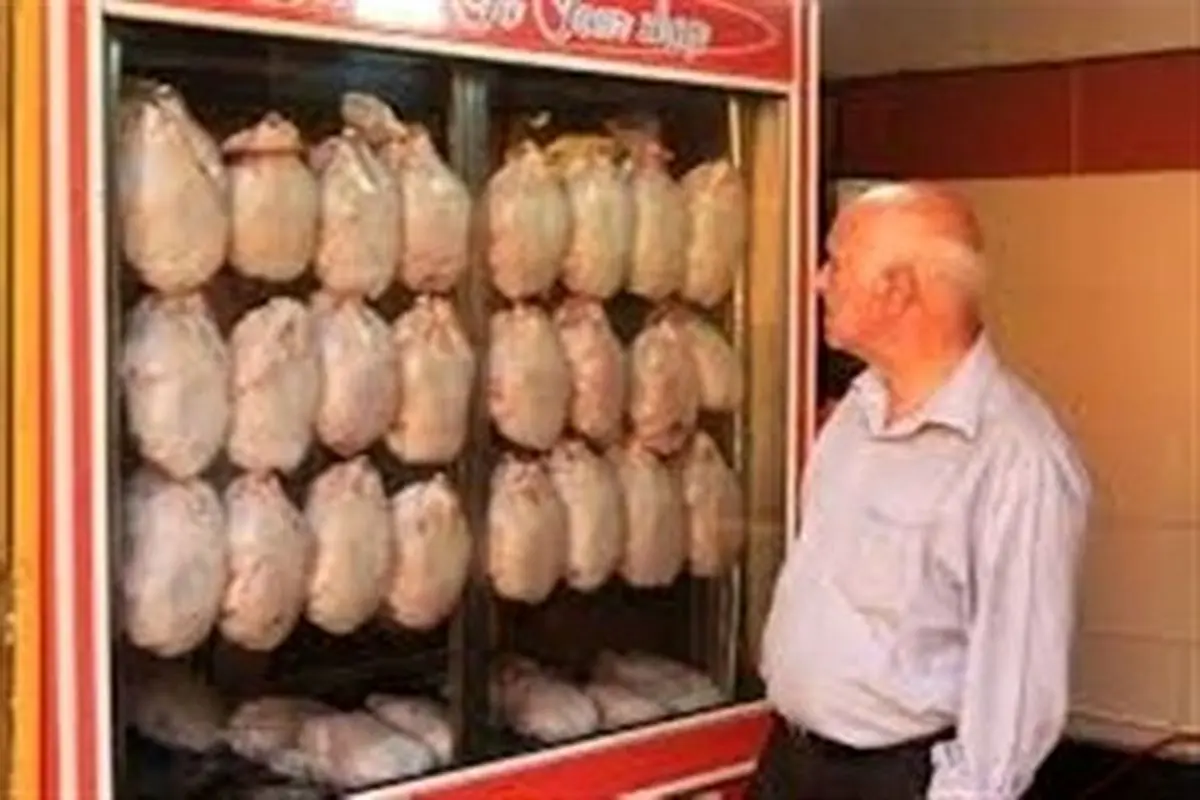 قیمت مرغ به ۲۴ هزار و ۵۰۰ تومان رسید/پیش بینی روند کاهشی نرخ