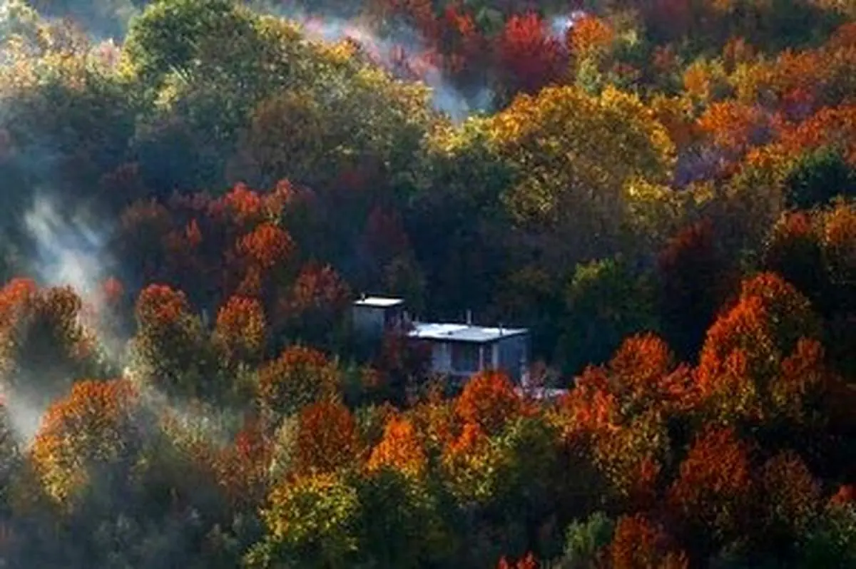 کوچه باغ گردی پاییز