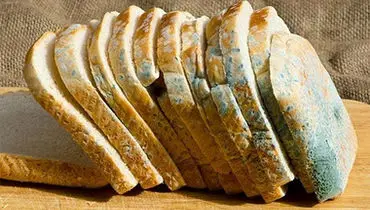 خواص عجیب نان کپک زده برای سلامتی