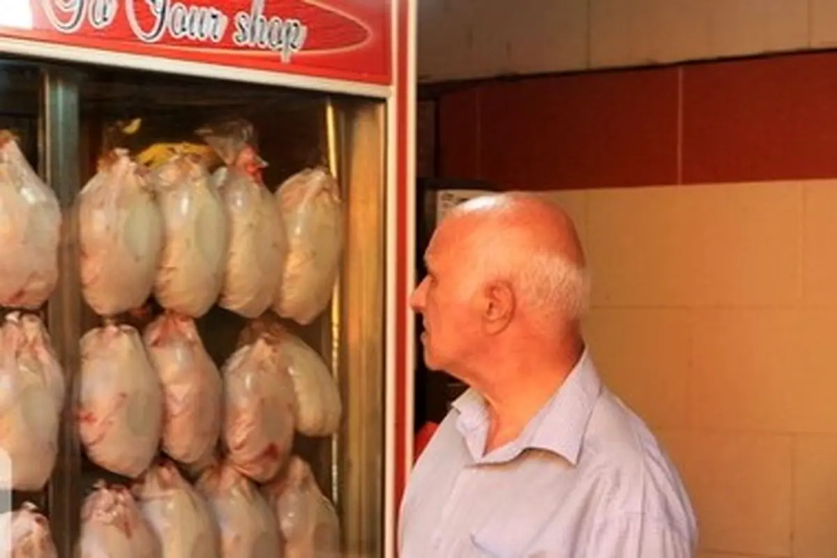 افزایش قیمت گوشت مرغ به دلیل کاهش جوجه‌ریزی