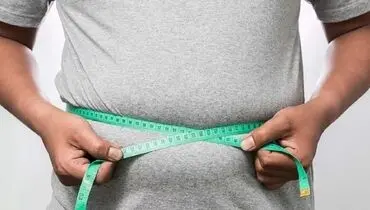 نحوه‌ی دفع چربی‌ها از بدن چگونه است؟