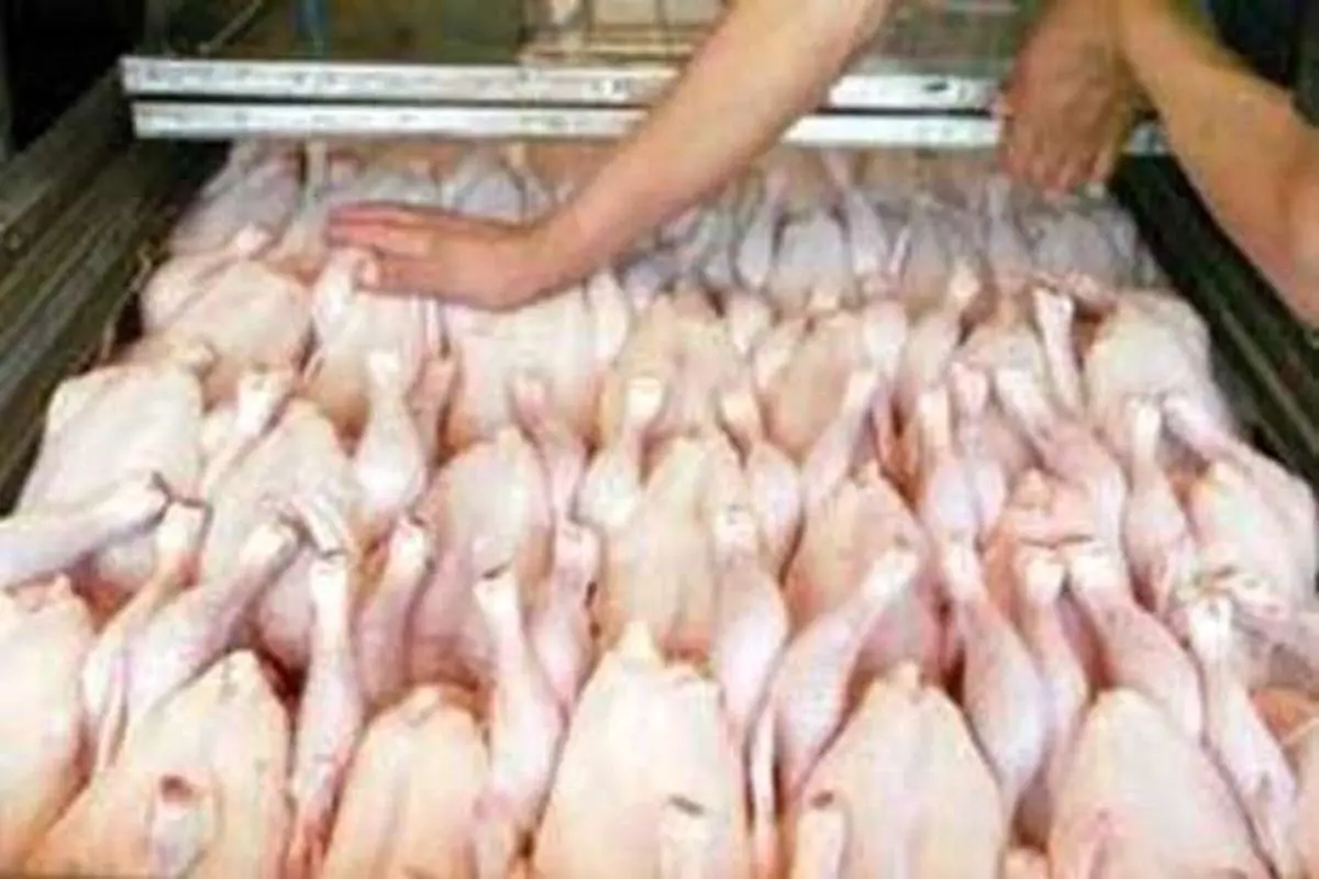 قیمت گوشت مرغ کیلویی ۳۳ هزار تومان شد